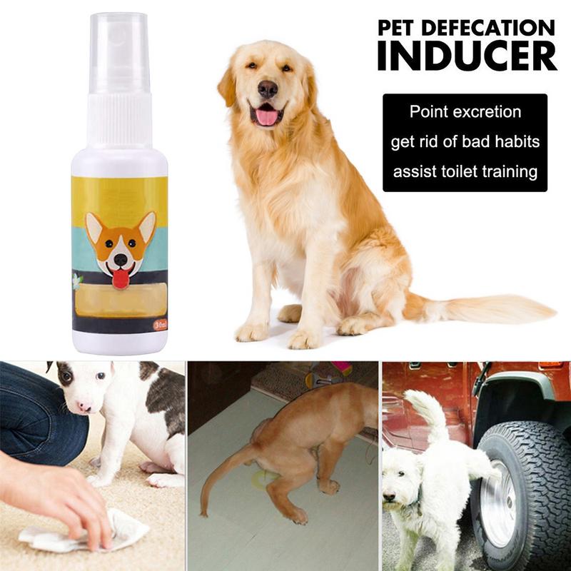 1PCS Dog Potty Train Spray Por - đánh giá và giá Travel Accessories In Train
