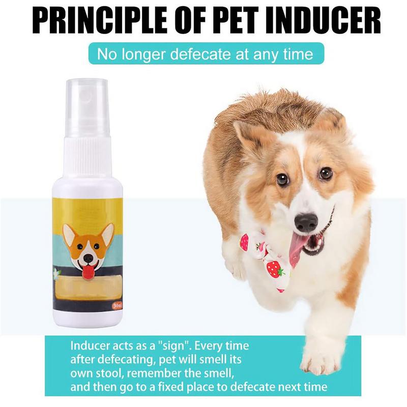1PCS Dog Potty Train Spray Por - đánh giá và giá Travel Accessories In Train
